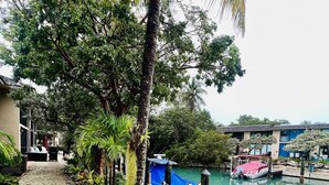A gravel path leading to a dock with boats, surrounded by lush greenery and a building in the background. - Waterfront paradise in Key Largo with resort style amenities (Key Largo)