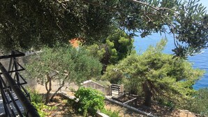Un jardin avec différentes espèces de plantes et une vue sur la mer.