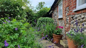 A garden with various plants and flowers, a stone wall, and a brick building with a window.