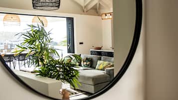 Älytelevisio, stereot