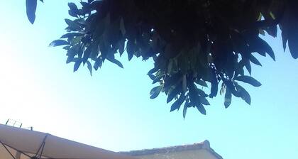 Domaine lolo and hakimi