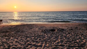 Uma praia ao pôr do sol com um cão perto da beira da água.