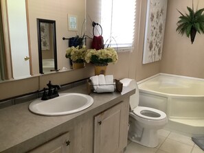 Combined shower/bathtub, hair dryer, towels, soap - Country Nest (Jonesville)
