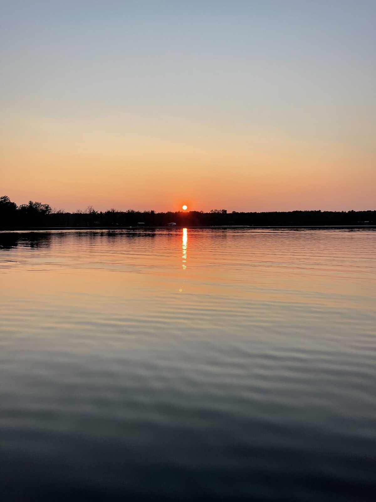 Imagen de perfil del propietario o de la propietaria