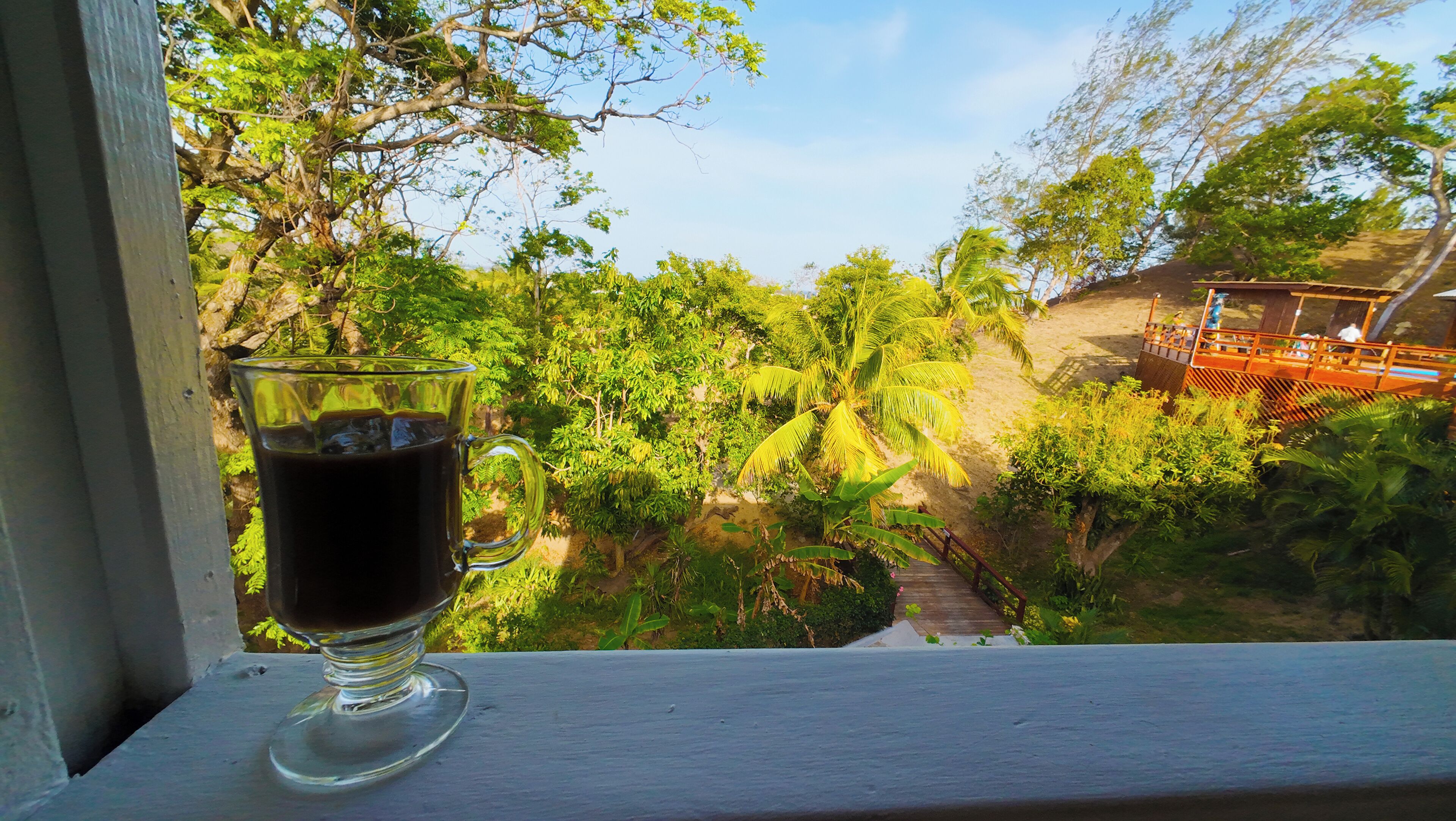 Un verre contenant un liquide sombre est posé sur un rebord de fenêtre, donnant sur un jardin luxuriant agrémenté d’une terrasse en bois et d’une petite cascade.
