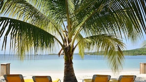 A beach with a palm tree and four yellow lounge chairs.