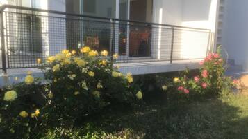 DĂ©tail de lâextĂ©rieur