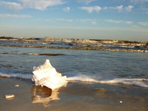 Sur la plage