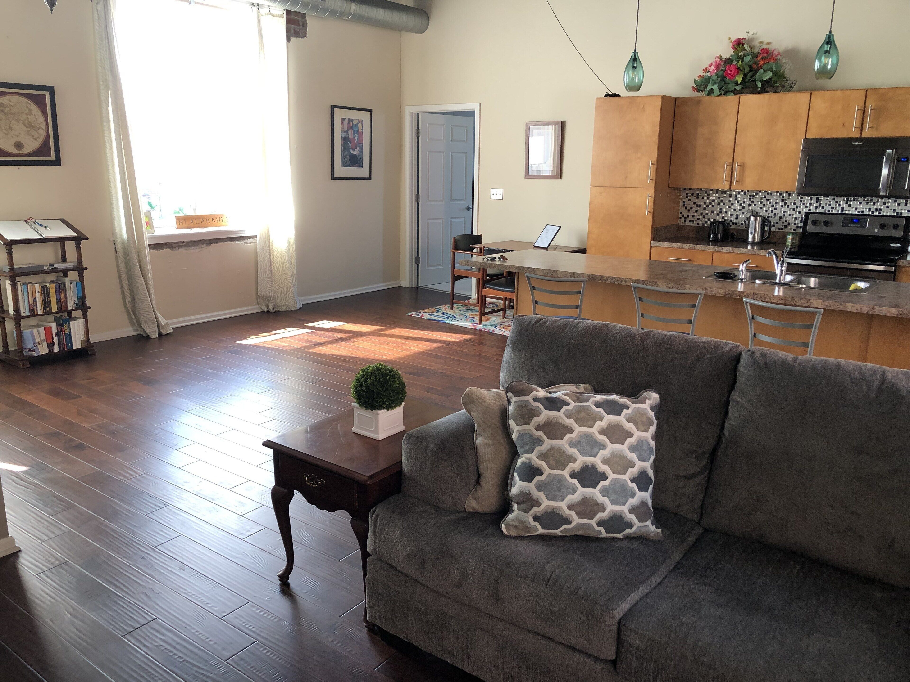 Un salon avec un canapé gris, une petite table sur laquelle est posée une plante, et une bibliothèque.