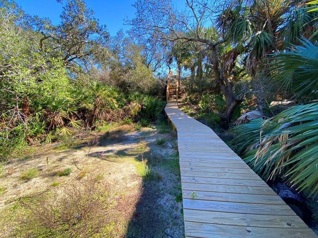 A wooden boardwalk through a natural area with dense vegetation and trees.