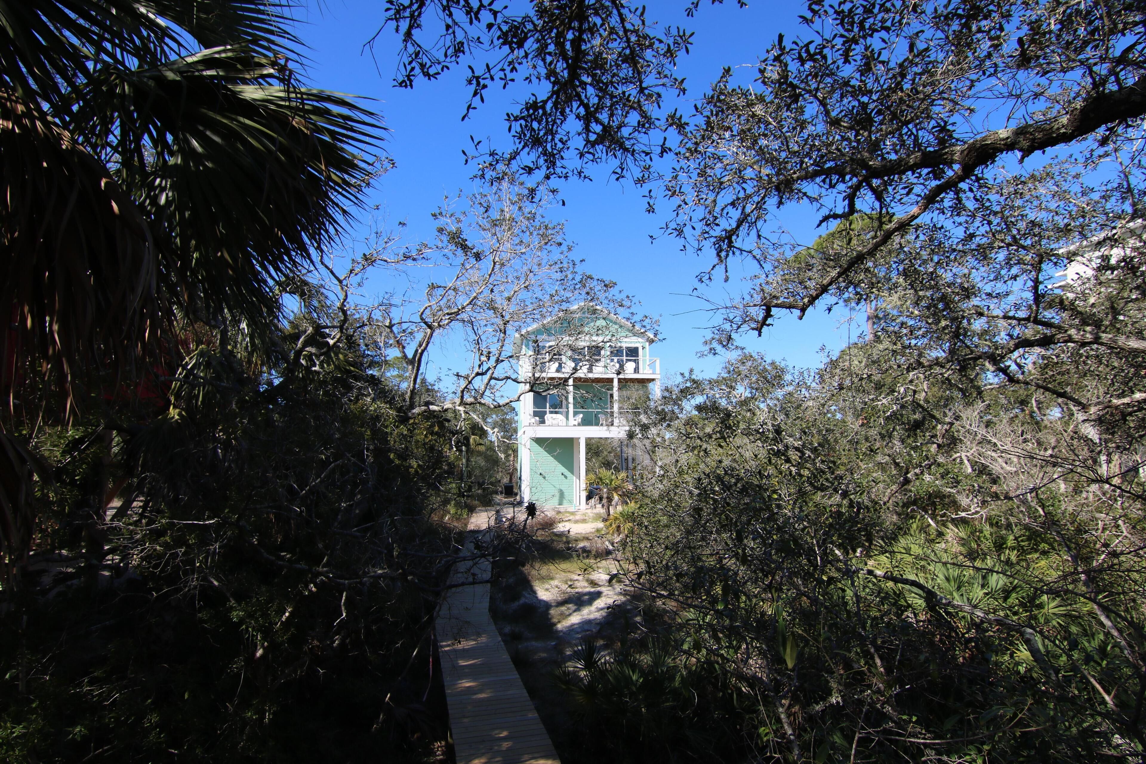A pathway leading to a building surrounded by dense foliage.