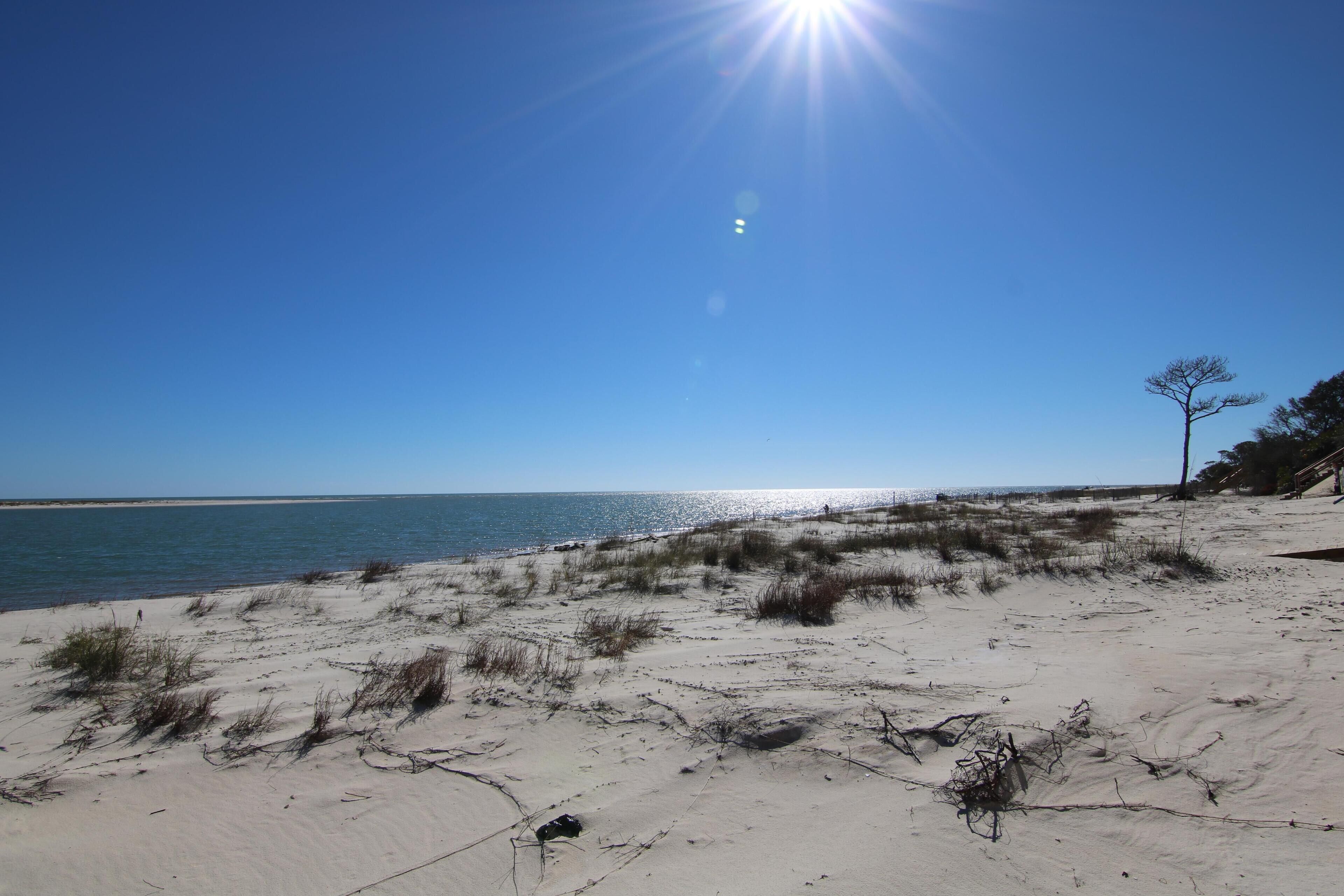 A beach with sand dunes and a clear blue sky.