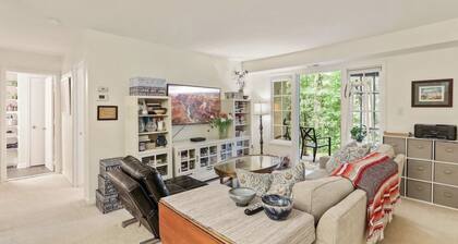 Quiet, Remodeled 1BR/1BA Condo in Annandale, VA w/pool near DC