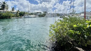 A marina with boats docked, surrounded by greenery and buildings. - Beau T3 vue mer Proche Plage Wifi (Trois Ilets)