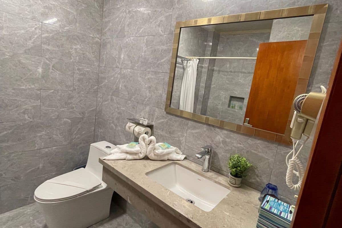 double balcony room | bathroom | shower, free toiletries, hair dryer, towels