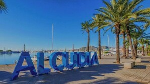 Un port de plaisance avec une enseigne indiquant « ALCUDIA », des palmiers et des bateaux.