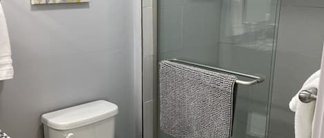 A modern bathroom with a glass shower enclosure, a toilet, and a sink.