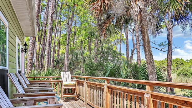 A wooden deck with lounge chairs and a railing, surrounded by tall trees and greenery. - Rehoboth Cottage (Port St. Joe)