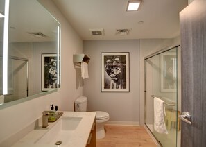 Shower, towels - Easy Access to all things Bozeman - with indoor parking! (Bozeman)