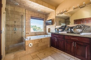 Combined shower/tub, jetted tub, hair dryer, towels - Paulies Palace # 2 (Mesa)