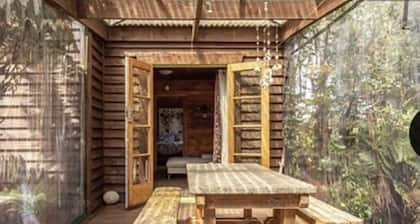 Nestled in the beautiful New Zealand bush a classic Kiwi bach.