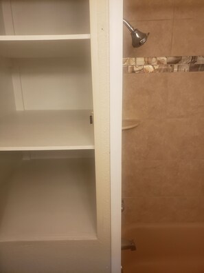 Combined shower/bathtub