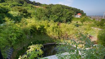 Japanese garden