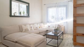 TV connectée, cheminée, livres