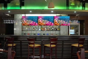 Bar (en la propiedad)