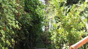 Photo non classée, 2 sur 40, bouton