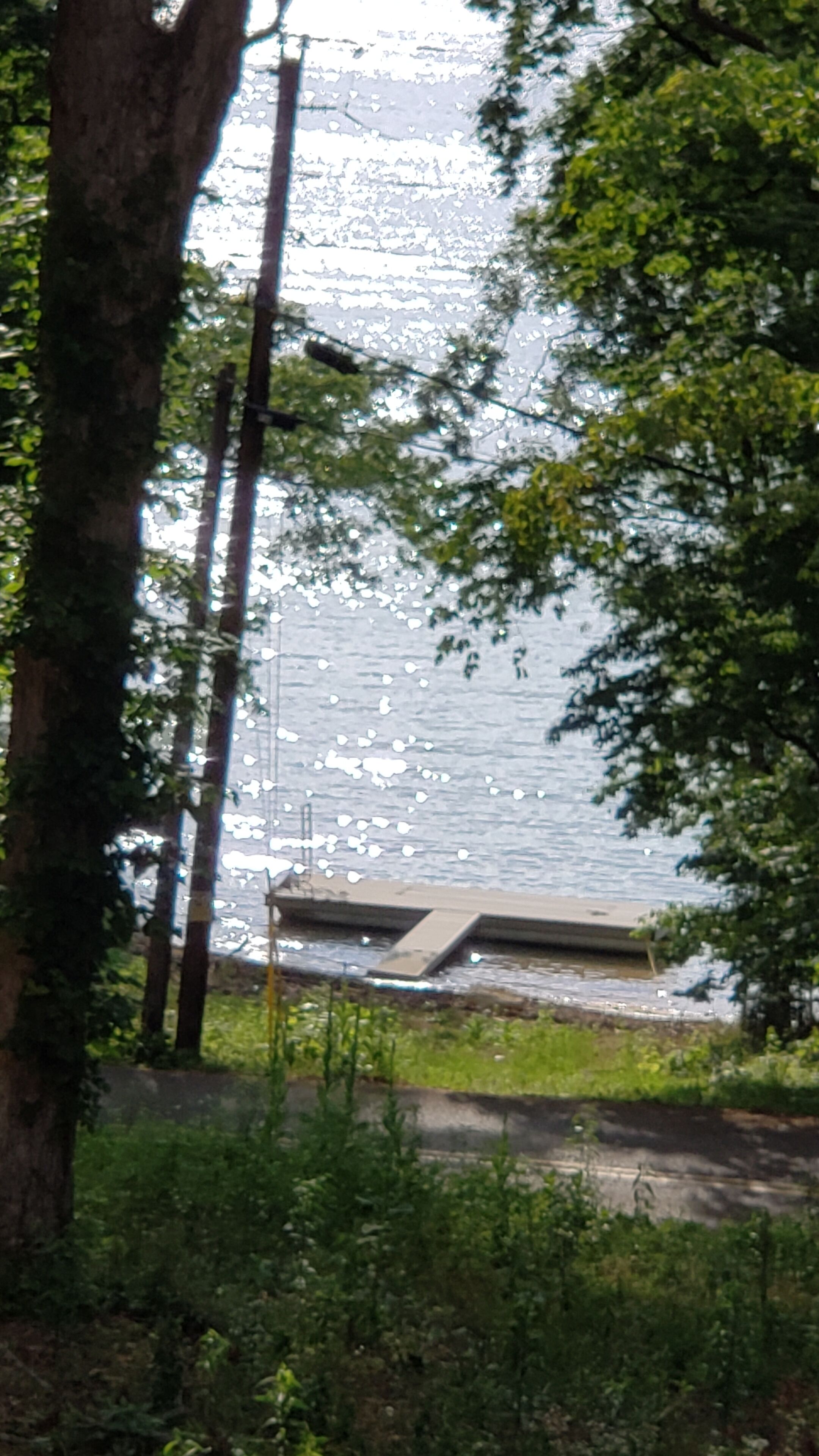 A view of a body of water with a bridge and trees in the foreground.