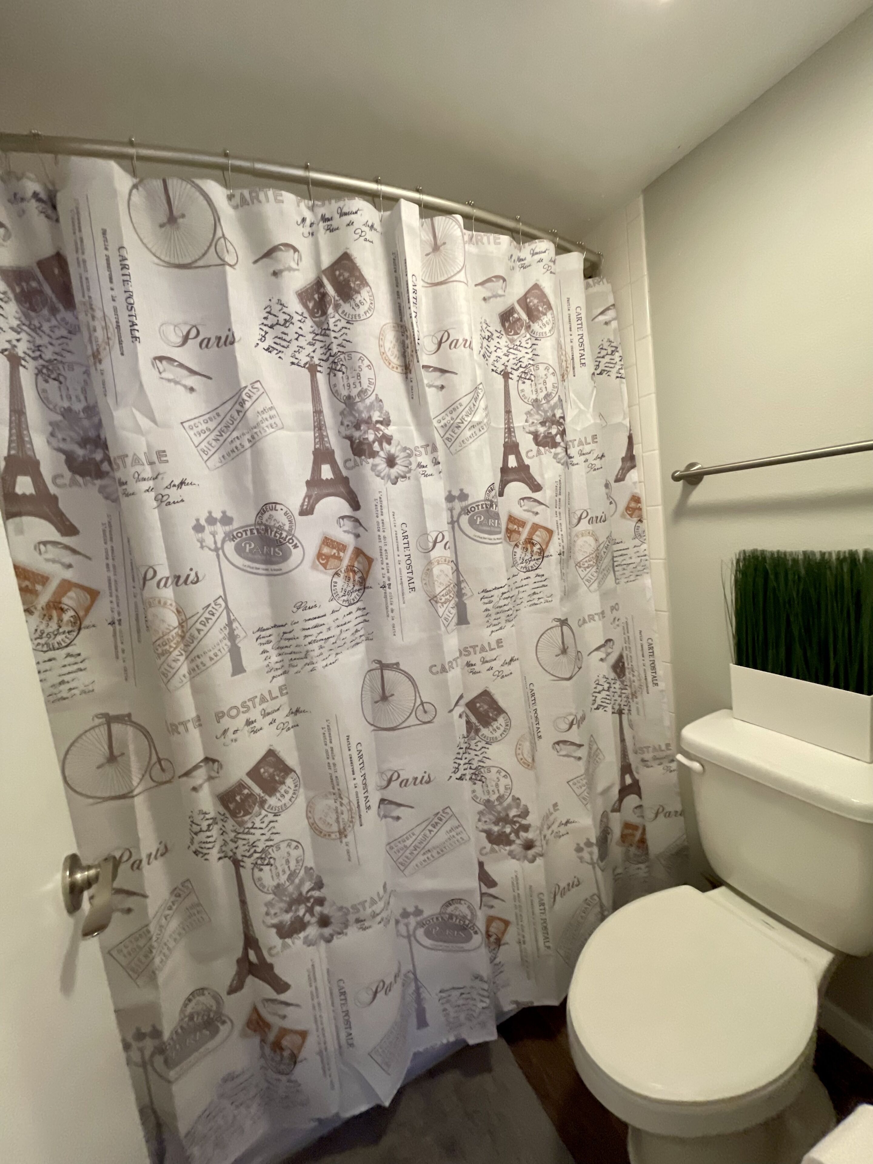 Une salle de bain avec un rideau de douche orné de motifs parisiens, des toilettes et un porte-serviettes avec une serviette verte.