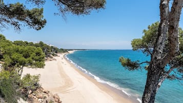 Accommodatie ligt op het strand