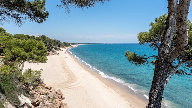 A beach with clear blue water, sandy shore, and surrounding pine trees. - Dream vacations sea front with the family (Miami Platja)