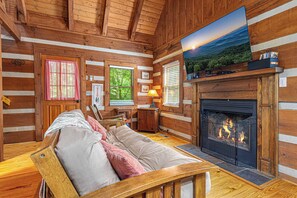 Smart TV, fireplace, DVD player, books