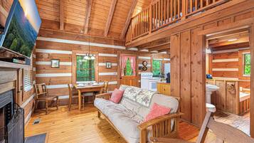 Een smart-tv, een open haard, een dvd-speler en boeken