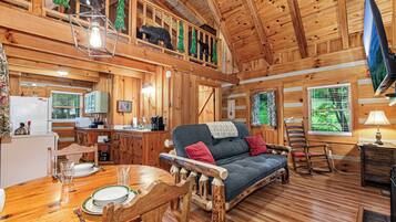 Smart TV, fireplace, DVD player, books