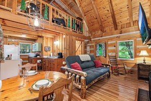 Smart TV, fireplace, DVD player, books