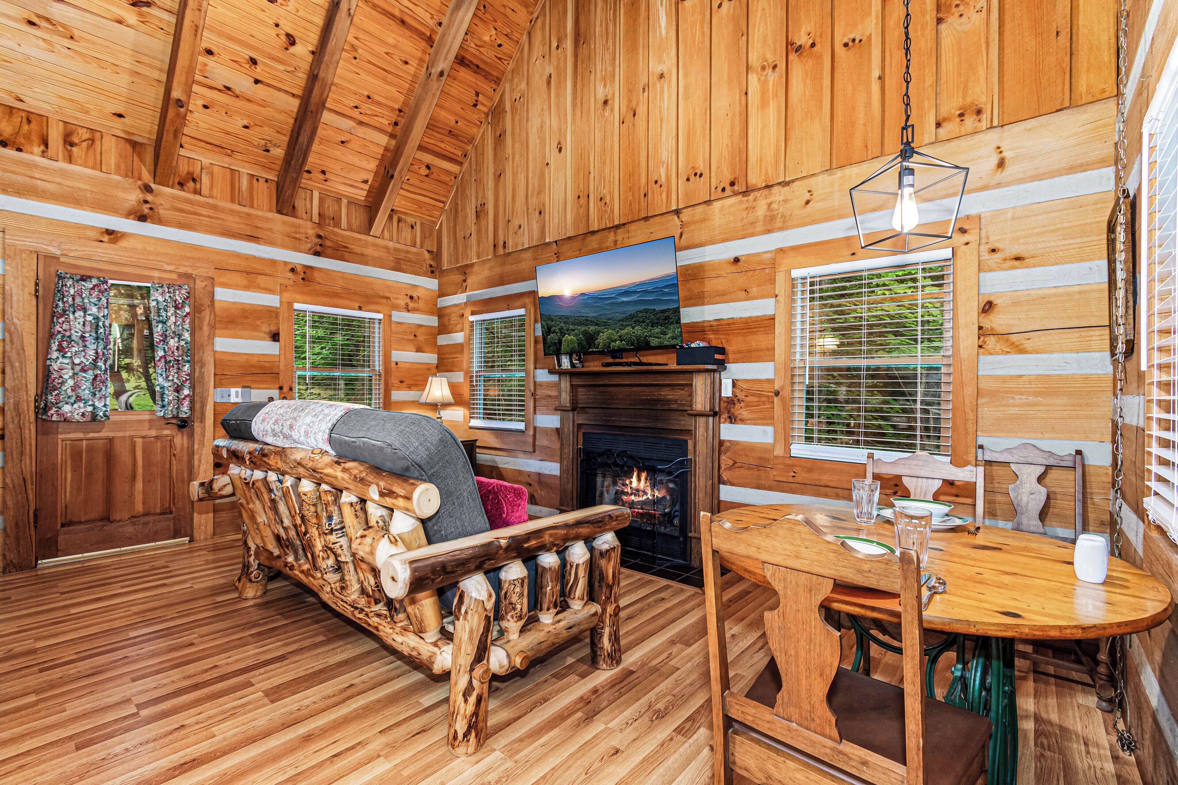 Smart TV, fireplace, DVD player, books