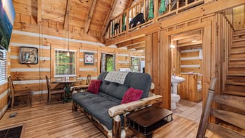 Smart TV, fireplace, DVD player, books