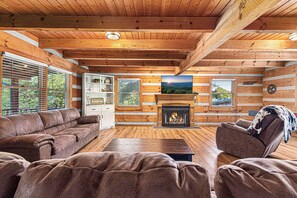 Smart TV, fireplace, video games, DVD player