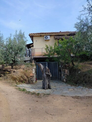 Rustic author
