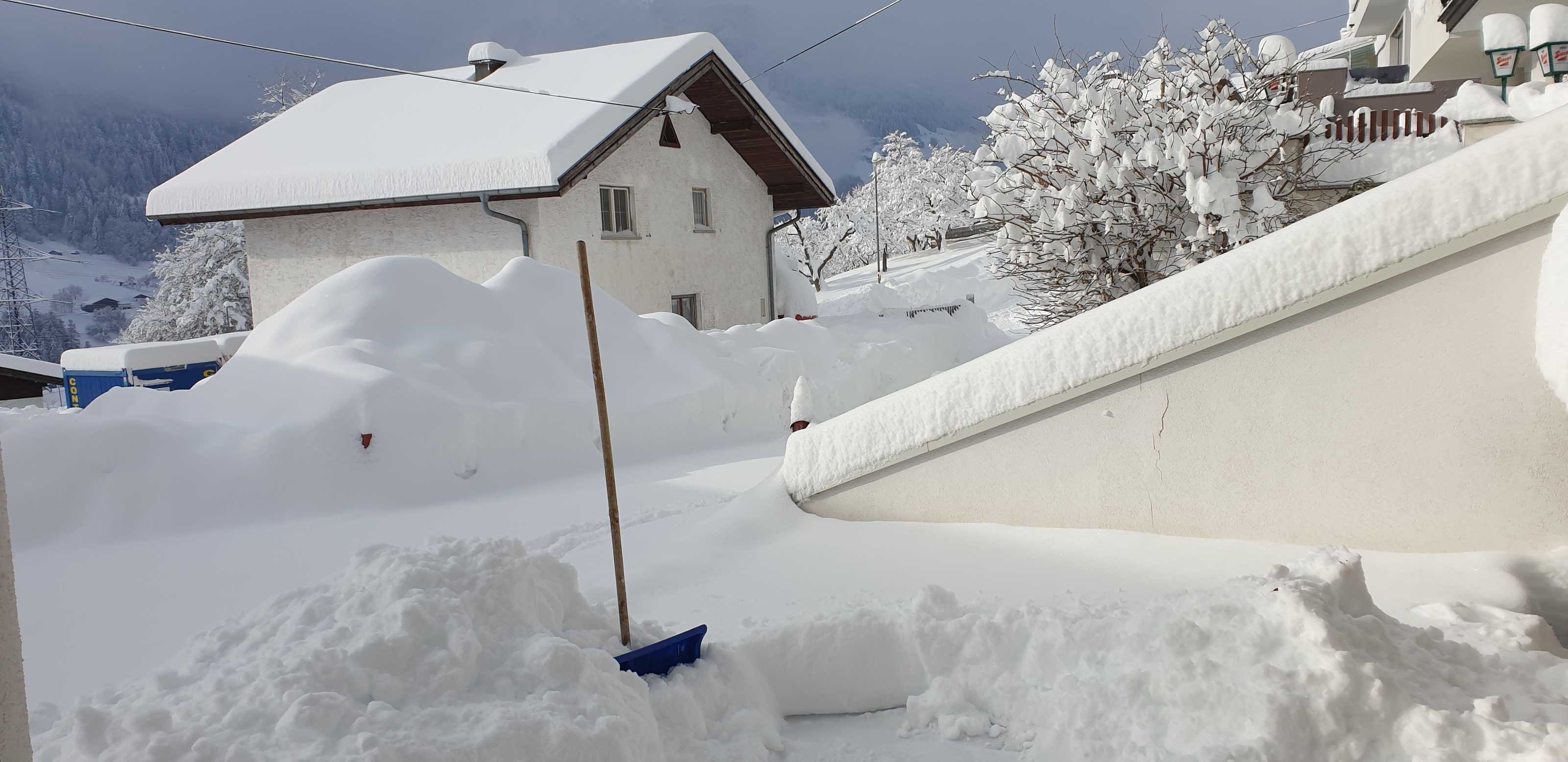 Un barrio residencial cubierto de nieve, con una casa, una valla de madera y árboles cargados de nieve.