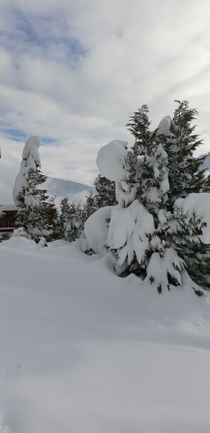Terrain de l’hébergement 