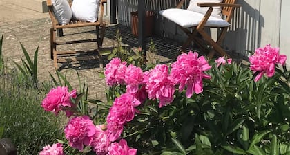 Ferienhaus Villa Alwine - Ferienhaus