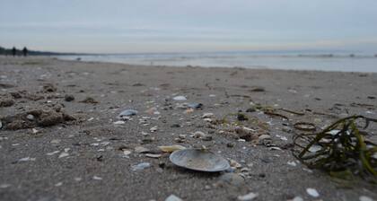 App. Meeresrauscher, Strandnah, Gelkamin u. Balkon - App. mit 1 SZ und Schlafsofa - Aufbettung 3./4