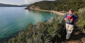 Camí costaner amb aigua turquesa cristal·lina, envoltat de vegetació i turons.
