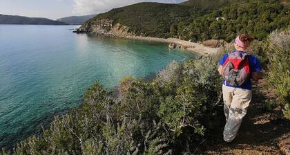 VILLETTA "THE OLIVE" close to the beach, nice private garden, air conditioning