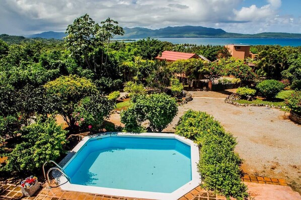 Una piscina rodeada de abundante vegetación y vistas al mar.