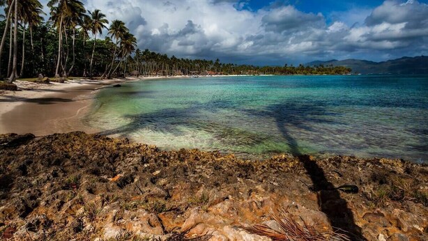 A tropical beach with clear turquoise waters, palm trees, and rocky shorelines.